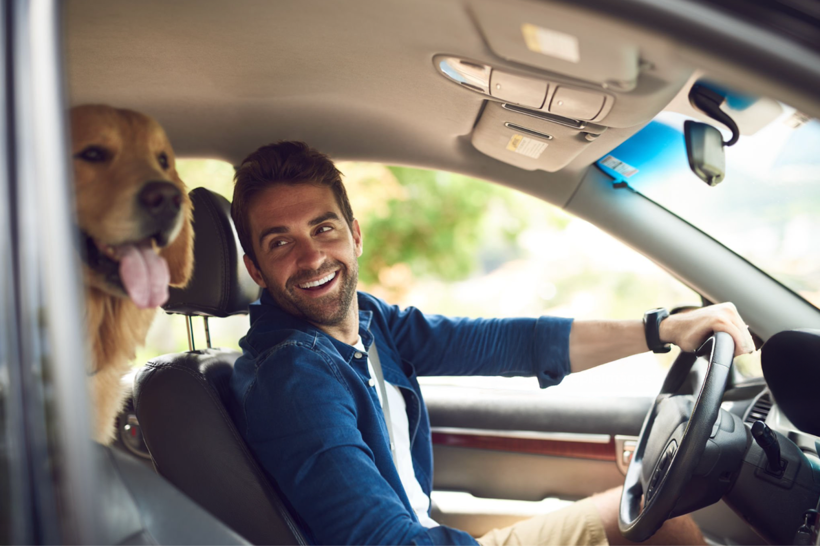 Man driving with his dog, symbolizing comfort and safety supported by Golden Aluminum in modern vehicles.